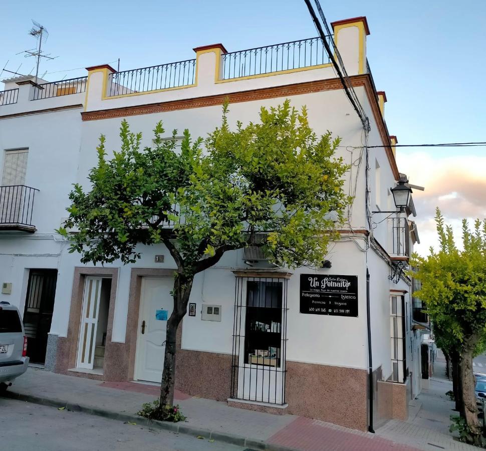 Villa Jacaranda Prado Del Rey Exterior foto